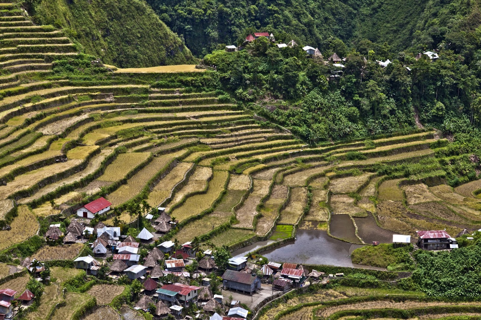 saan matatagpuan ang banaue rice terraces - philippin news collections
