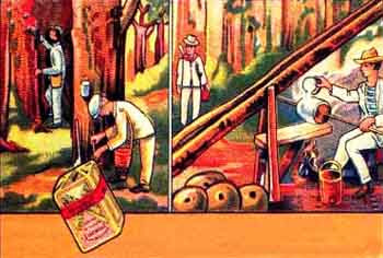 Borracha, Produção, Economia e Ciclo da Borracha no Brasil Borracha, Produção, Economia e Ciclo da Borracha no Brasil