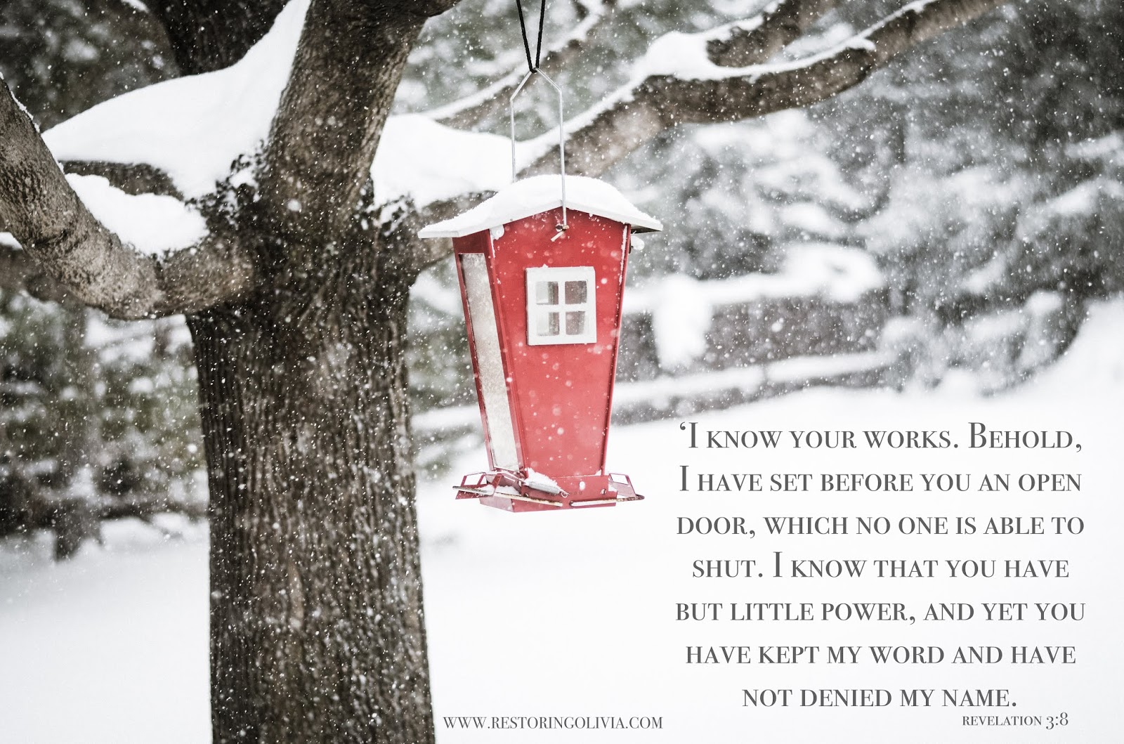 Restoring Olivia March 2019