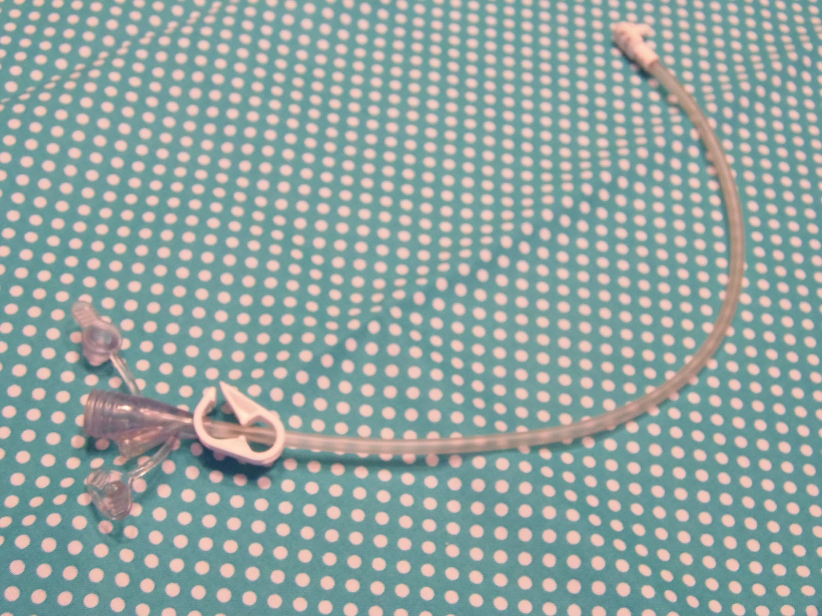 Tenn Sense What Is A Feeding Tube?