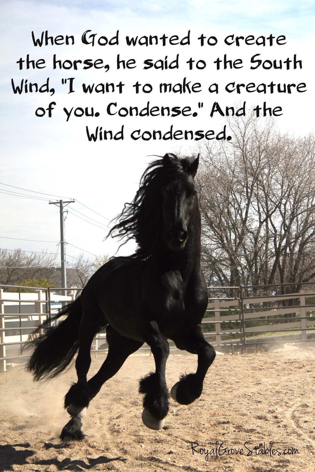 Wild horses quotes, Horse quotes, Horse riding quotes