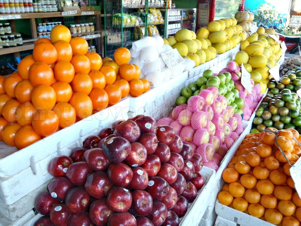 Nueva Vizcaya The Citrus Capital of the Philippines Blogs, Travel