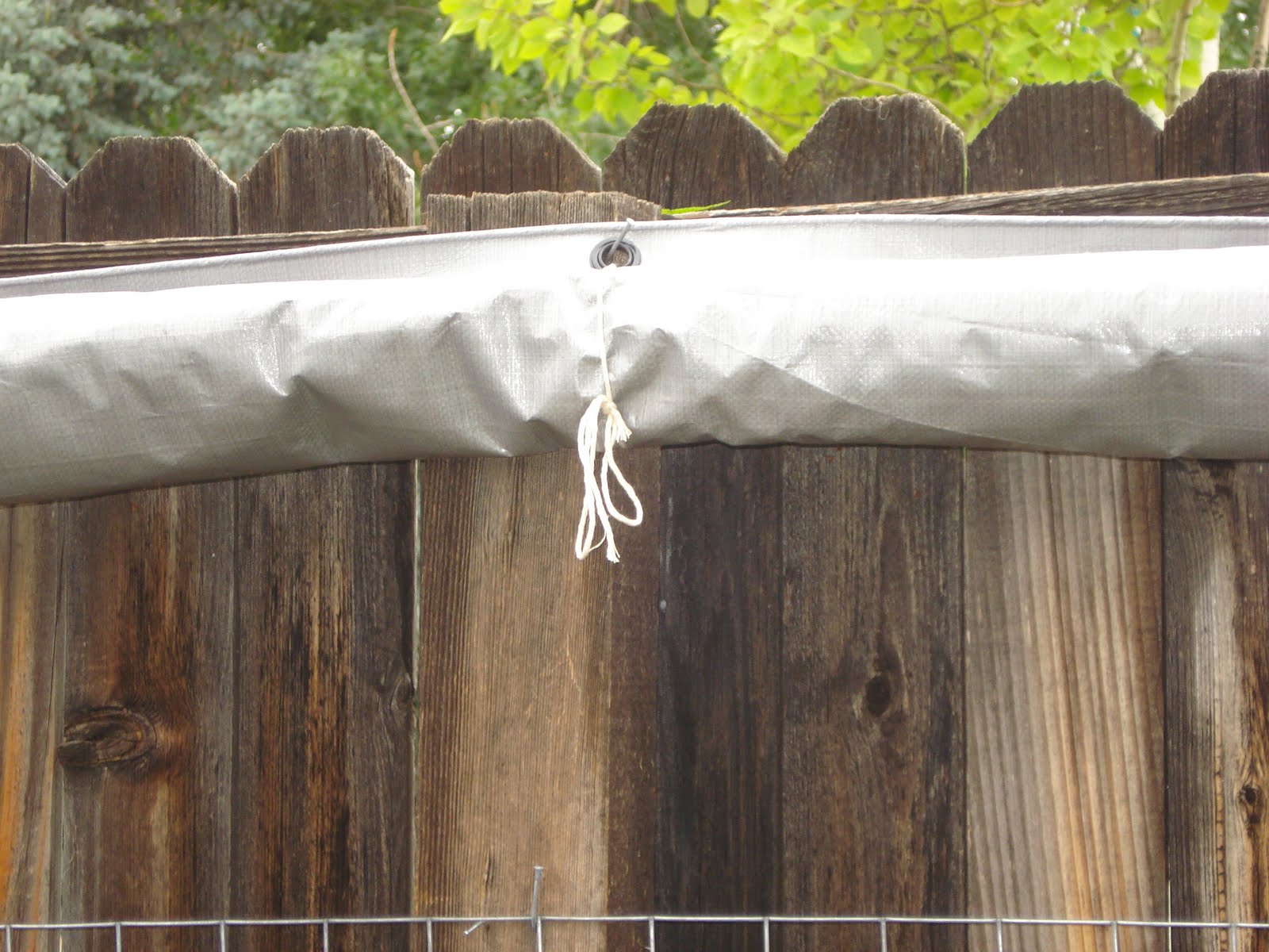 Jodys ReCreations Big Hail Storm Provokes “Hail Storm Plan of Action