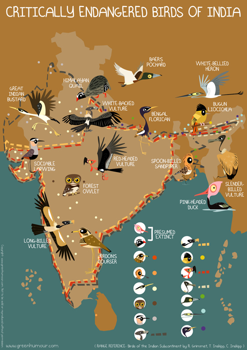 Green Humour: Critically Endangered Birds of India