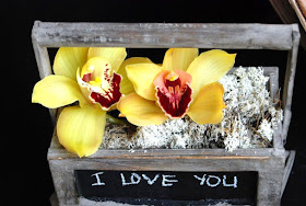 caja orquídeas