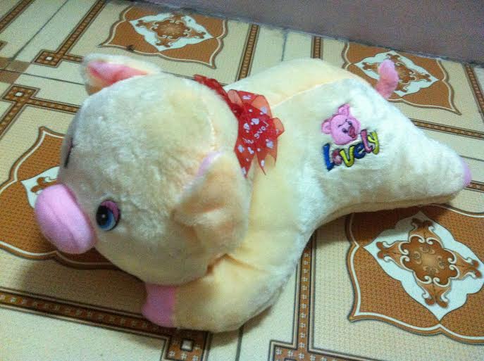 [Image: gau-bong-1.jpg]