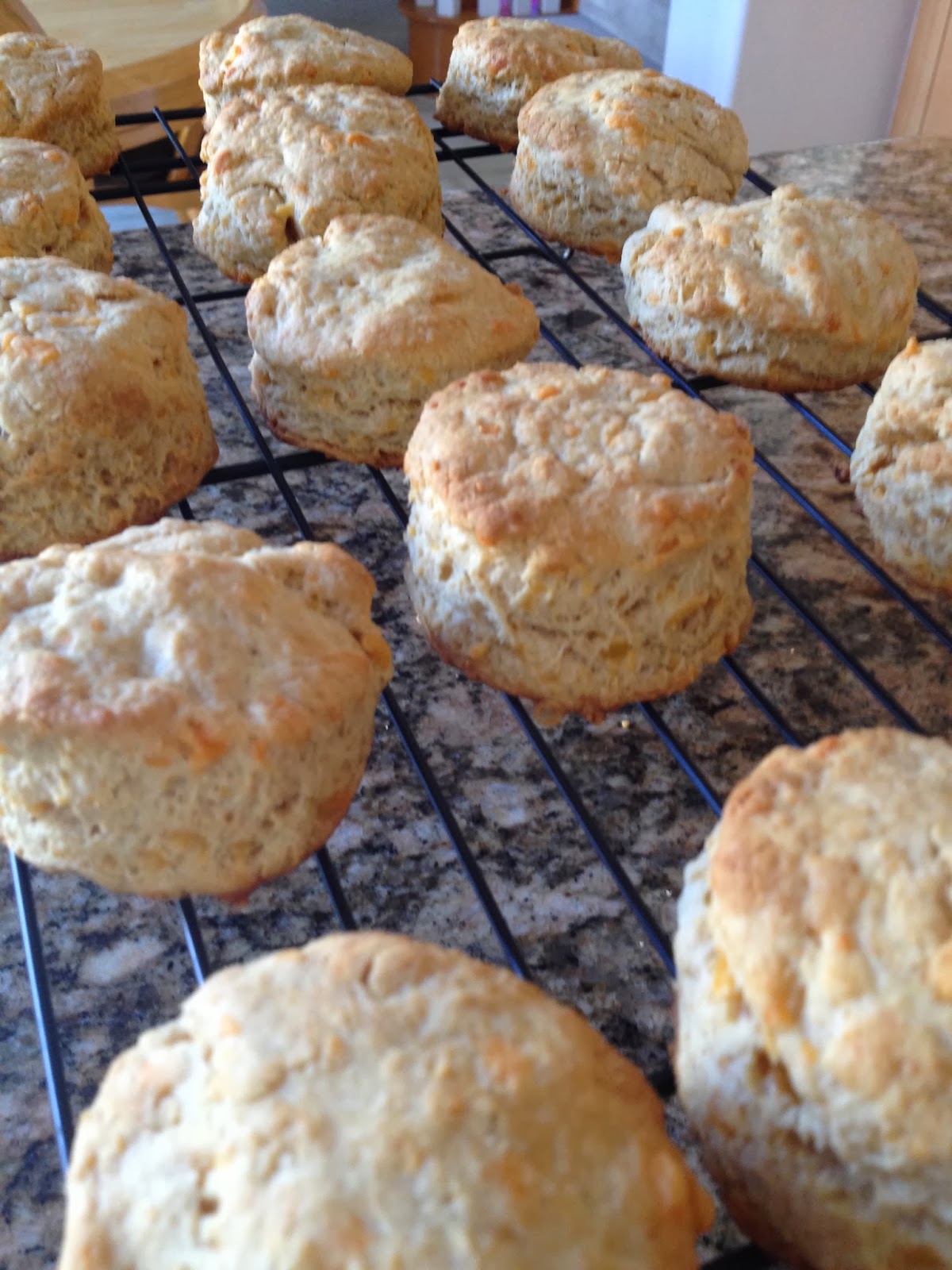 Sea Jay's Cupcakes WholeWheat Garlic Cheddar Biscuits