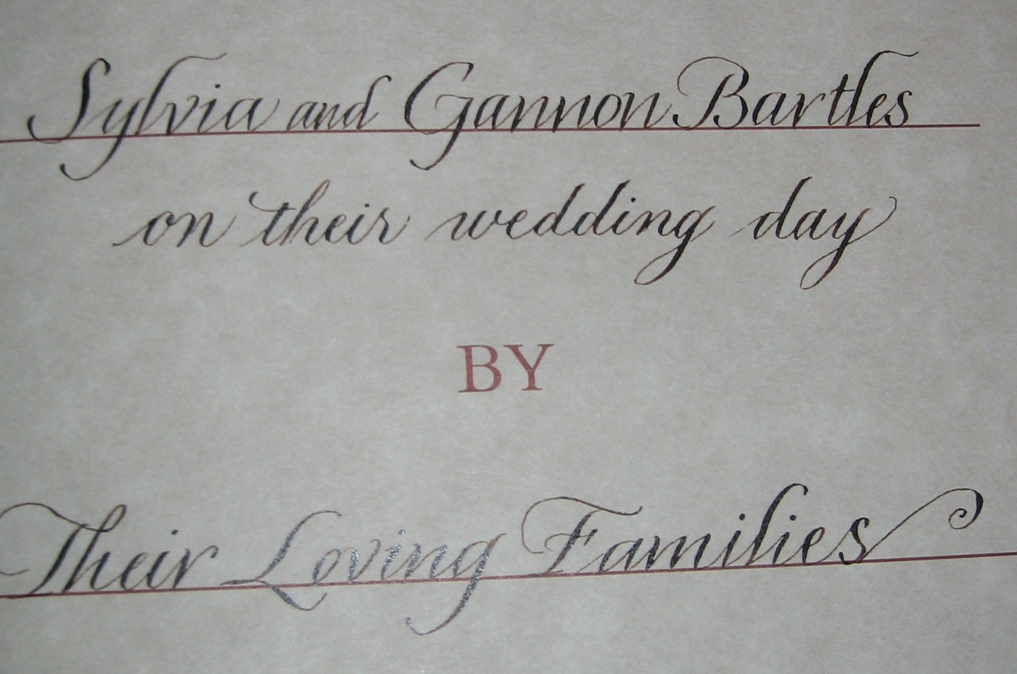 Trish Taylor Calligraphy: Lettering done in books or albums