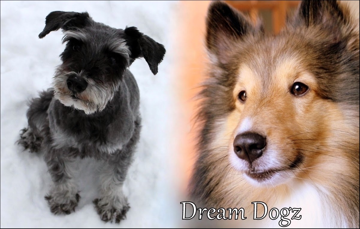 Dream Dogz