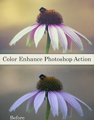color enhance photoshop action preview