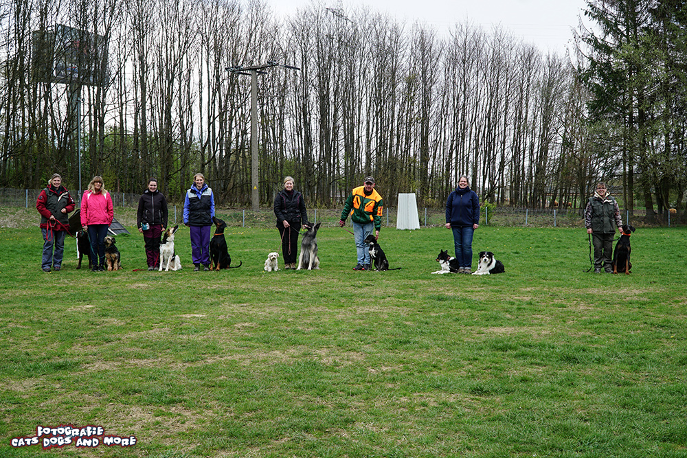 Wanderung Westerwald Wandern Rund Um Den Koppel Montabaur