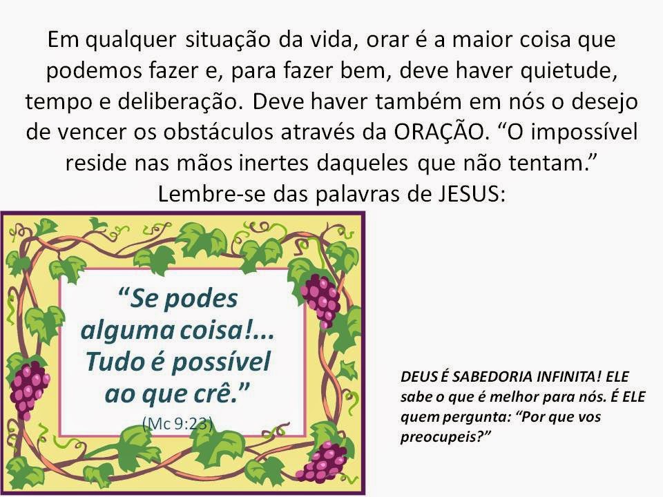 A Mão da Vida 63º dia