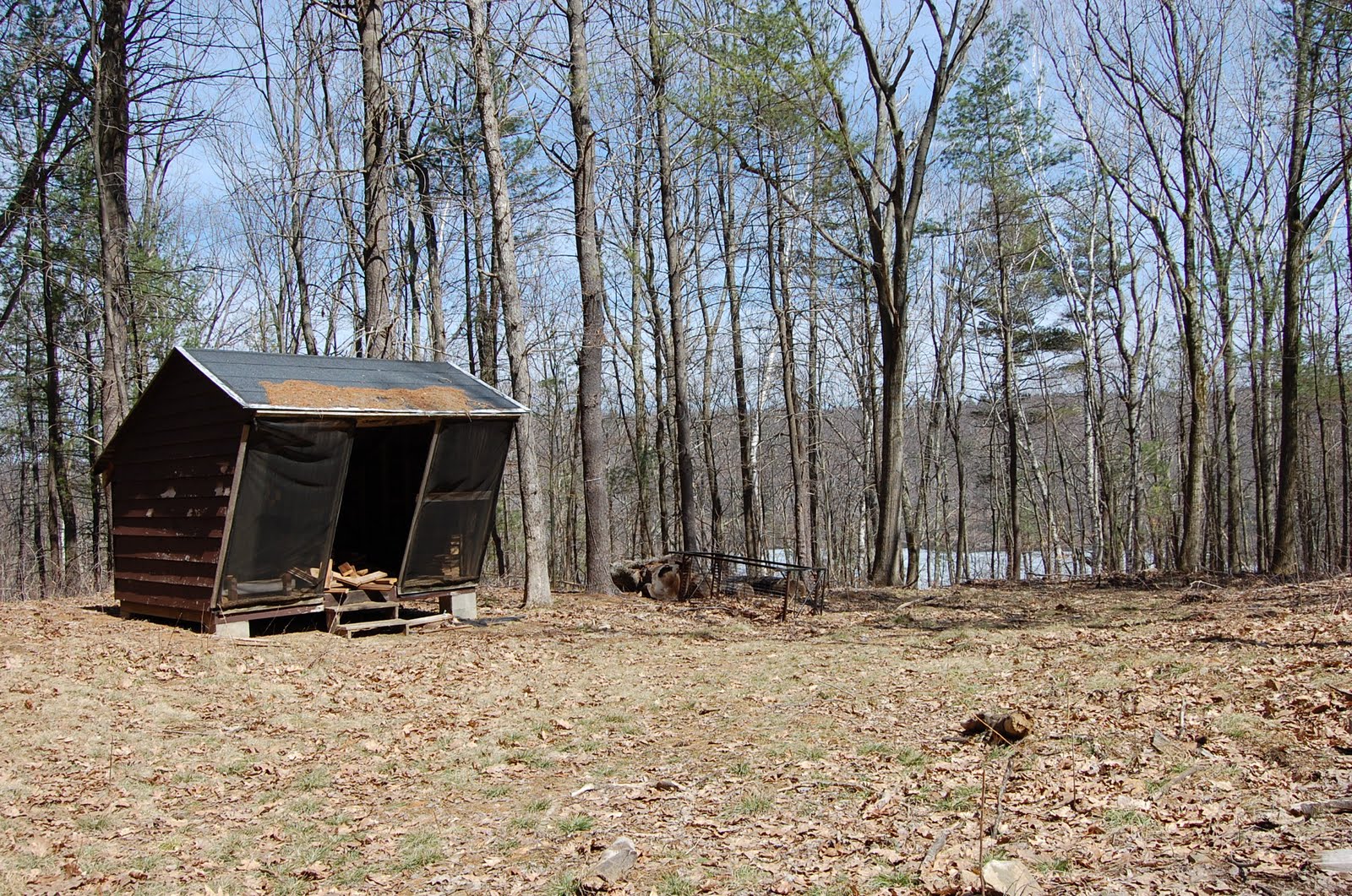 Camp Wa Wa Segowea Momentum is building for Camp Wa Wa Segowea's 2011