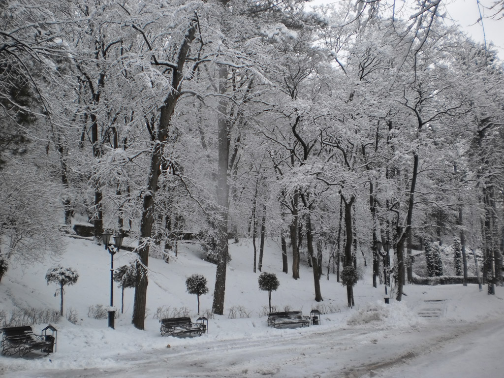 Кисловодский парк зимой Кисловодский парк зимой