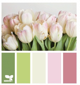 IMG 0102 - סוכה בסגנון אחר...