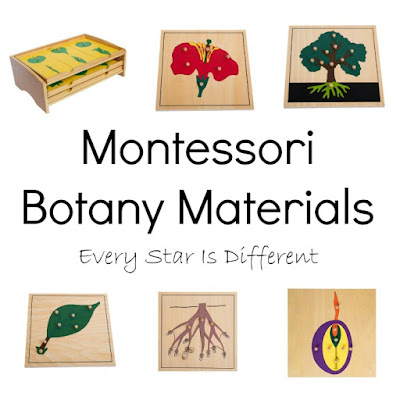Montessori Botany Materials