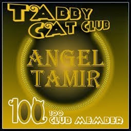 Angel Tamir is in the 100 club