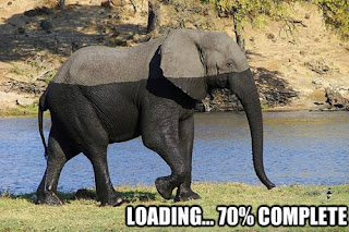 funny elephant half we loading