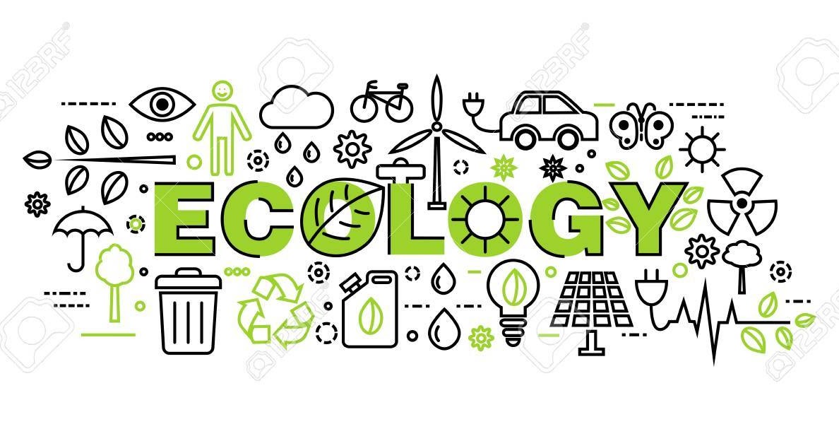 「気象」×「公正価値投資」Fair Value Investment 節約のすすめ18 少し前に靴べらを買い