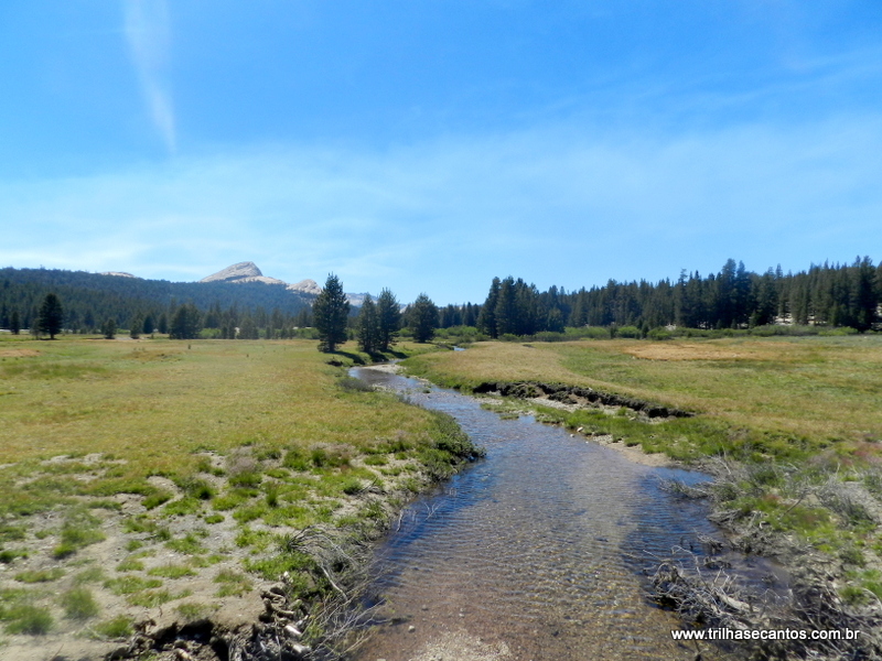 Yosemite Tuolomne Meadows Yosemite Tuolomne Meadows