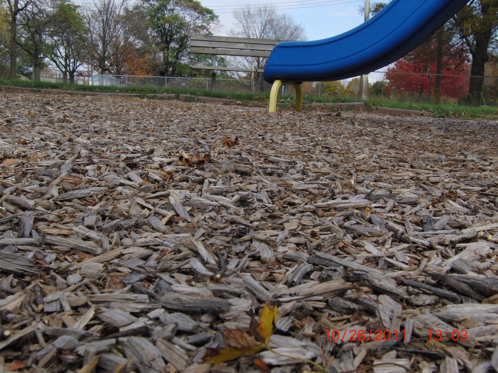 The Curious Mind Renovation of Municipal Park