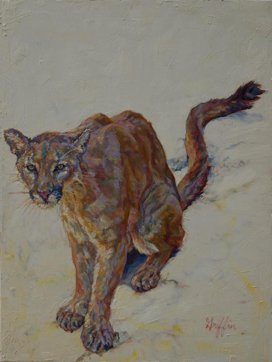 Daily Painters of Pennsylvania Colorful Contemporary Wildlife Art, Cat Painting "Seeker" by