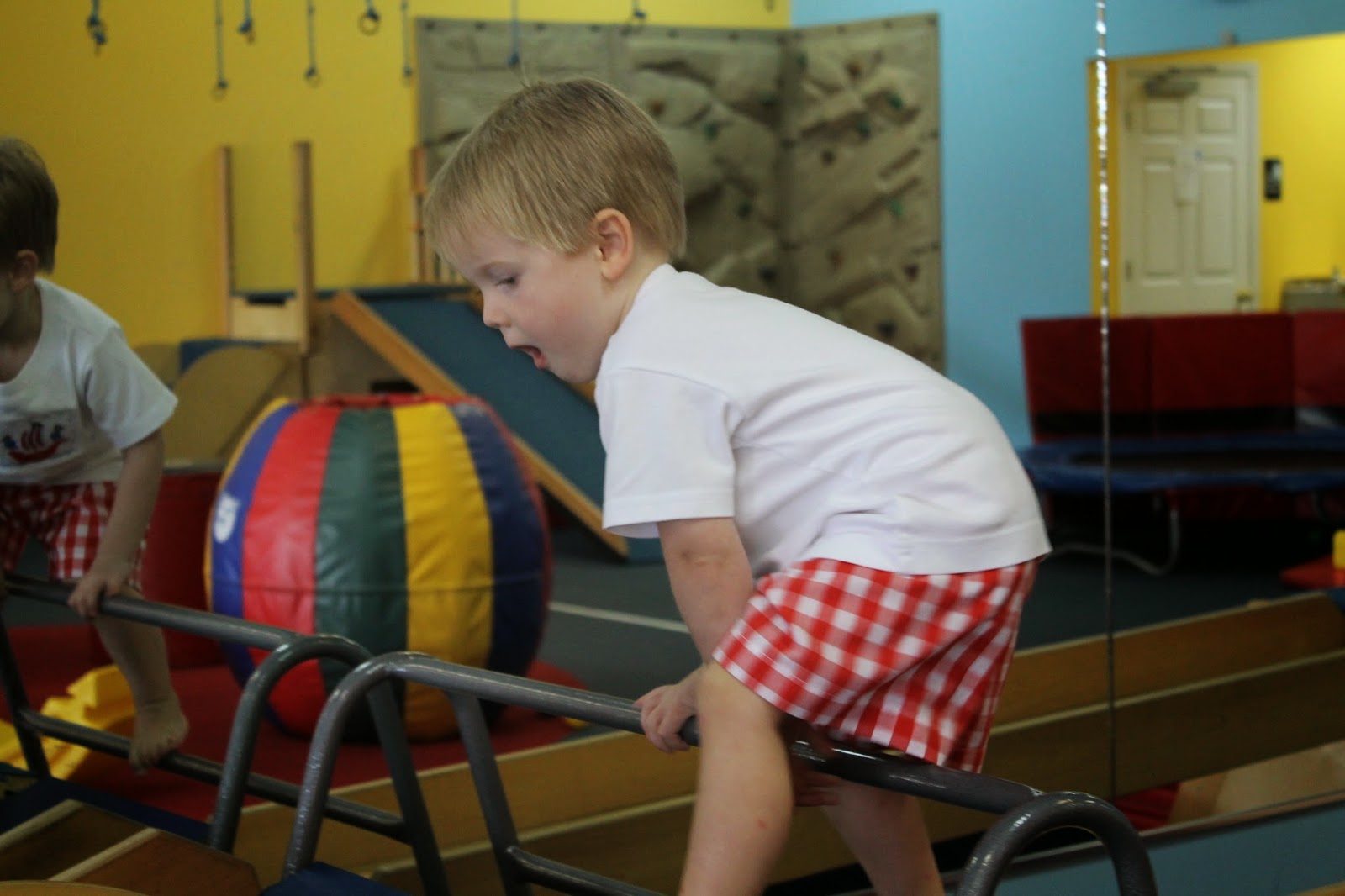 The Niemeyer Nest Henry's 3rd Birthday Party