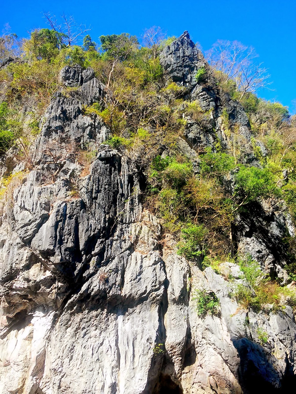 16 Meters High Limestone walls of Minalungao National Park