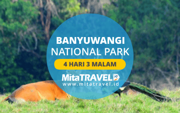 Private Tour Paket Wisata Banyuwangi 4 Hari 3 Malam National Park