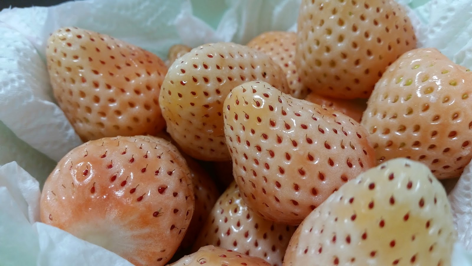 Of Dreams and Rice, Osaka White Strawberries!!