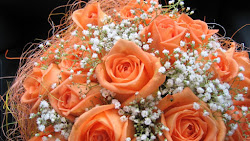 breath babys wallpapers flowers roses bouquet desktop background tags