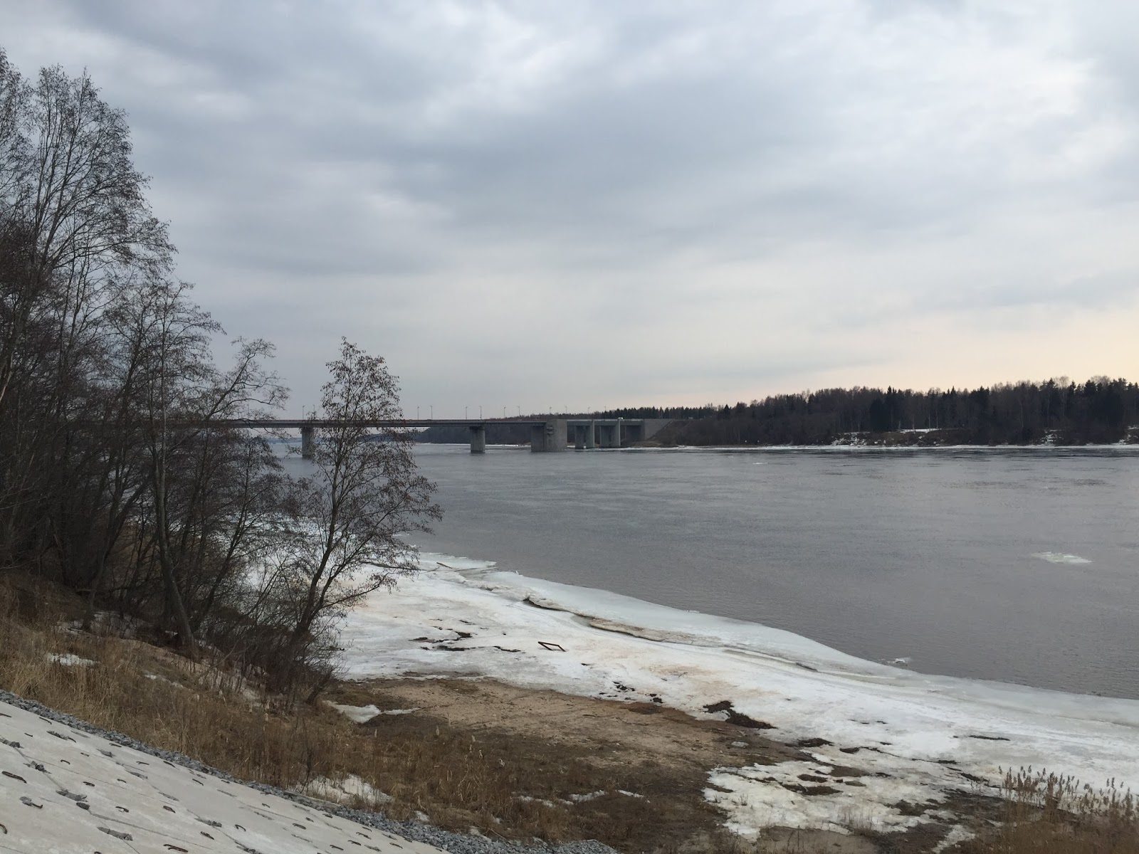 волховская губа