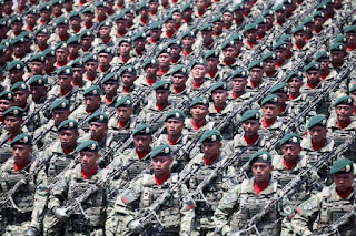 Tentara Nasional Indonesia 
