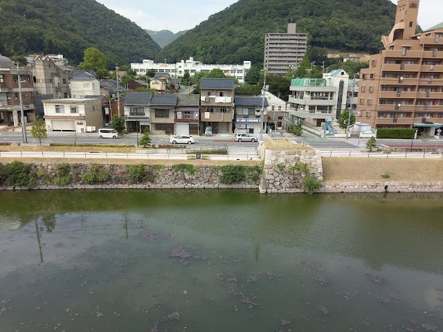 raw-image