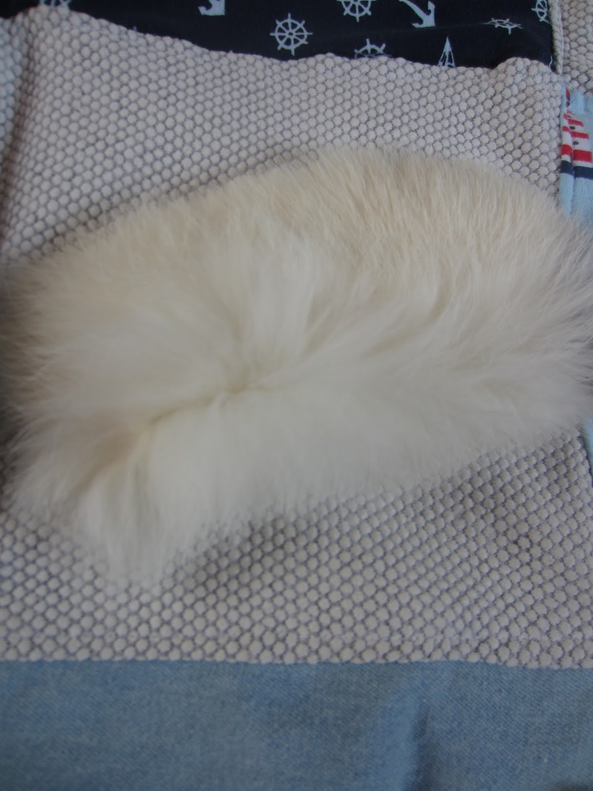 VaNaMas Kinder - und Familien - Blog