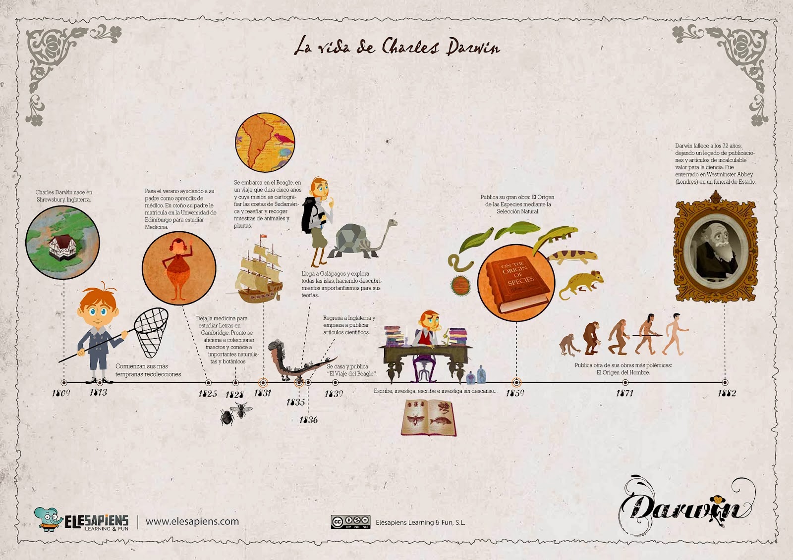 LA VIDA DE CHARLES DARWIN TRABAJANDO