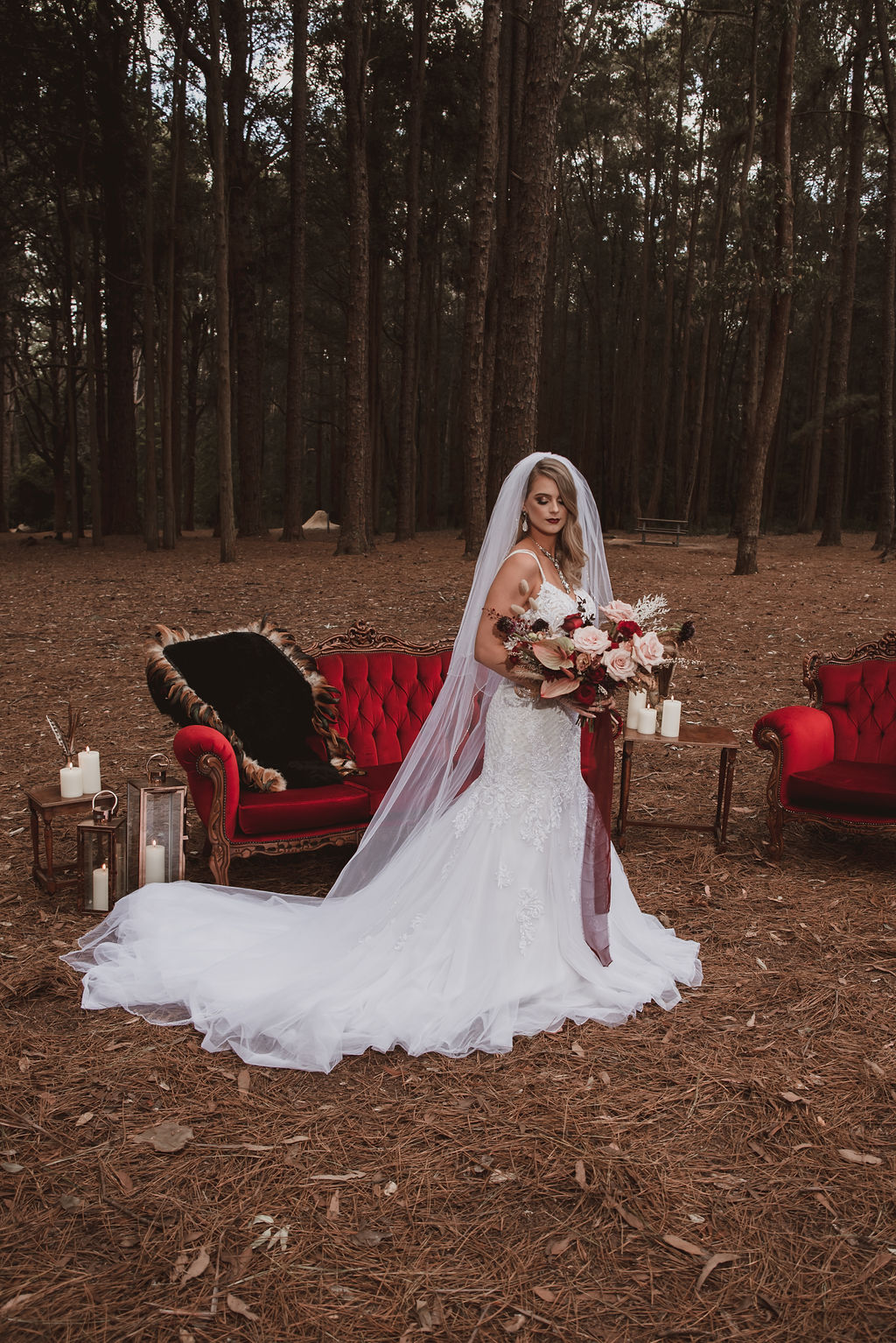 Diane Carnevale Heathers Winter Blooming Heath