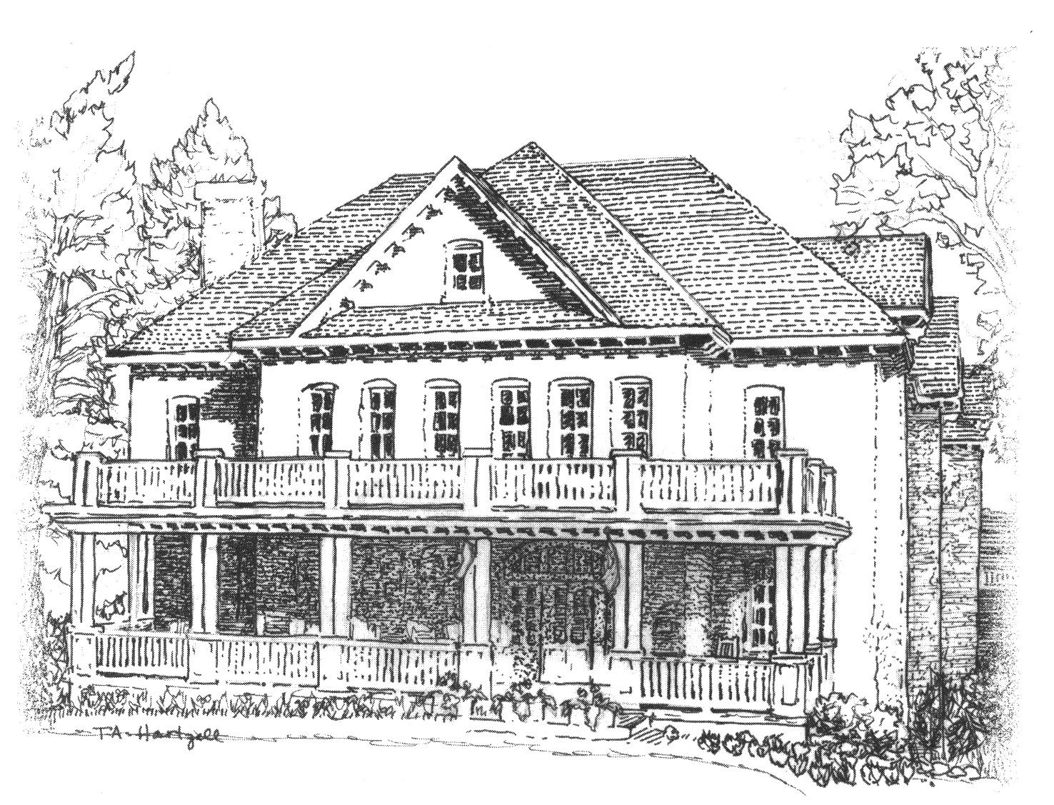 bioStories Blog Living in the Nut House