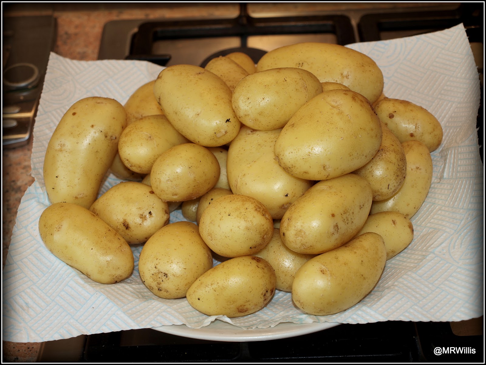 Mark's Veg Plot First Early potato "Annabelle"