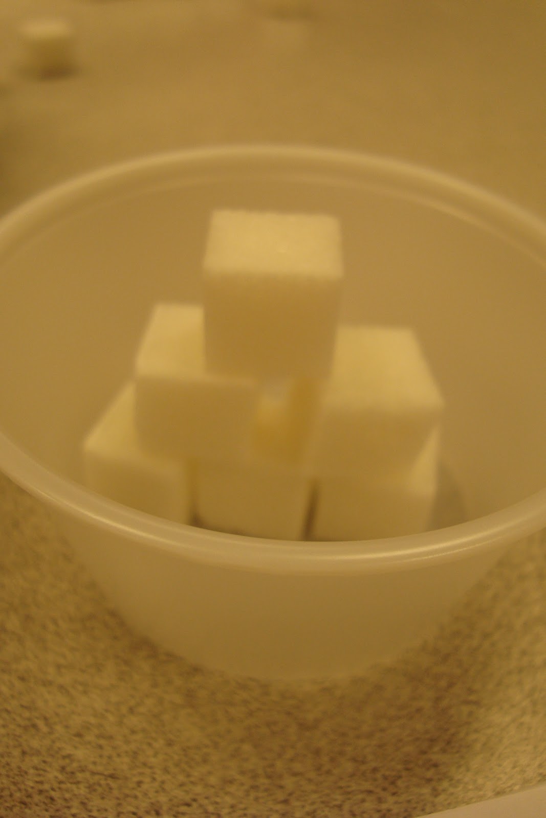 Sweet Life of First Grade Sugar Cube Science Experiment