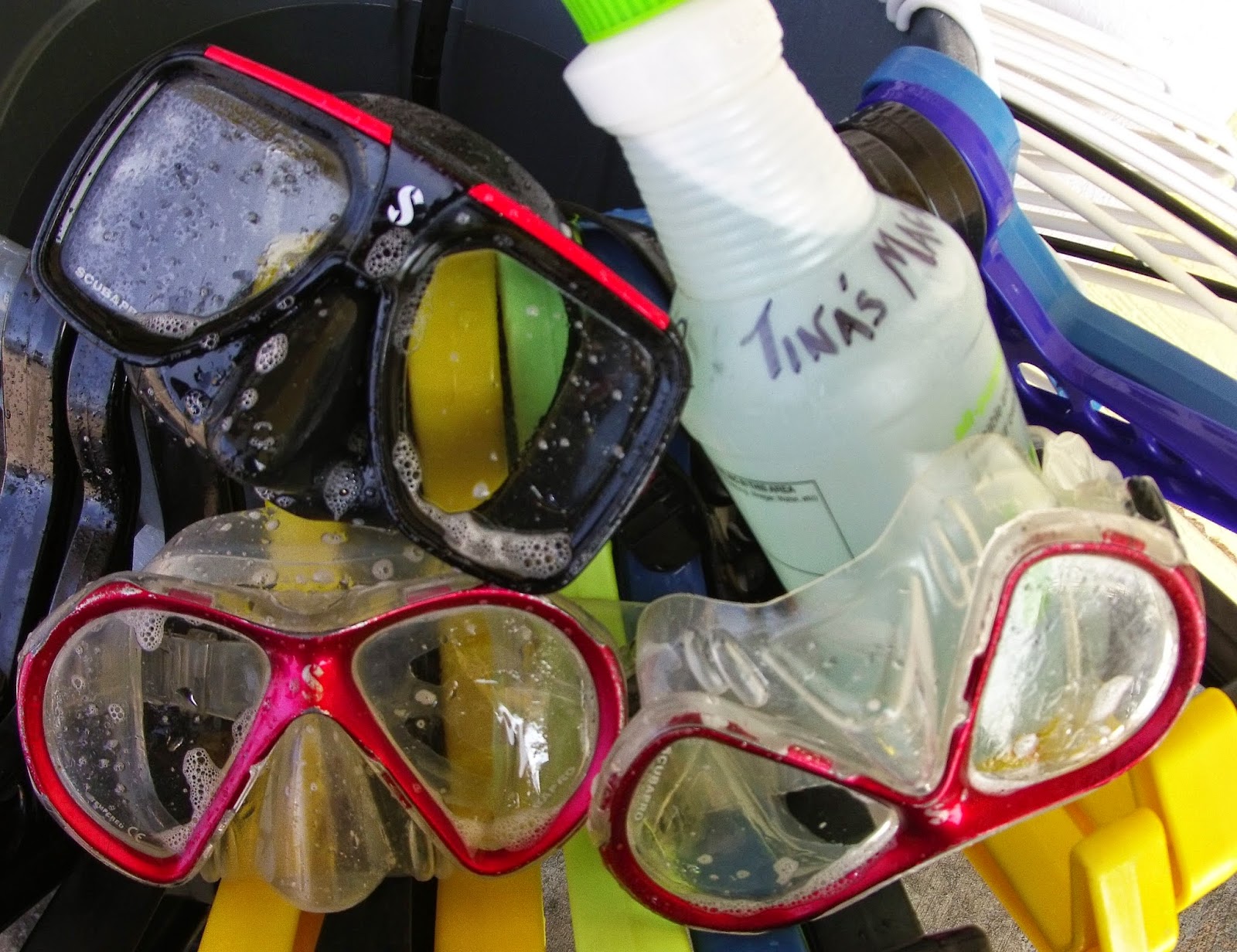 Kohala Dive (b)Log Tina's Guide to a Spotlessly Clean Scuba Diving Mask