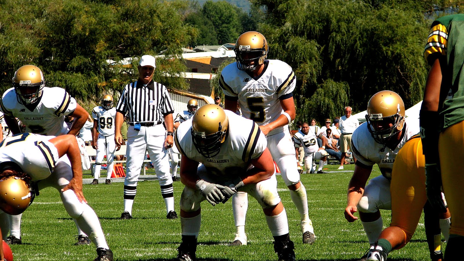 National Association of Intercollegiate Athletics Volley Volley Choices