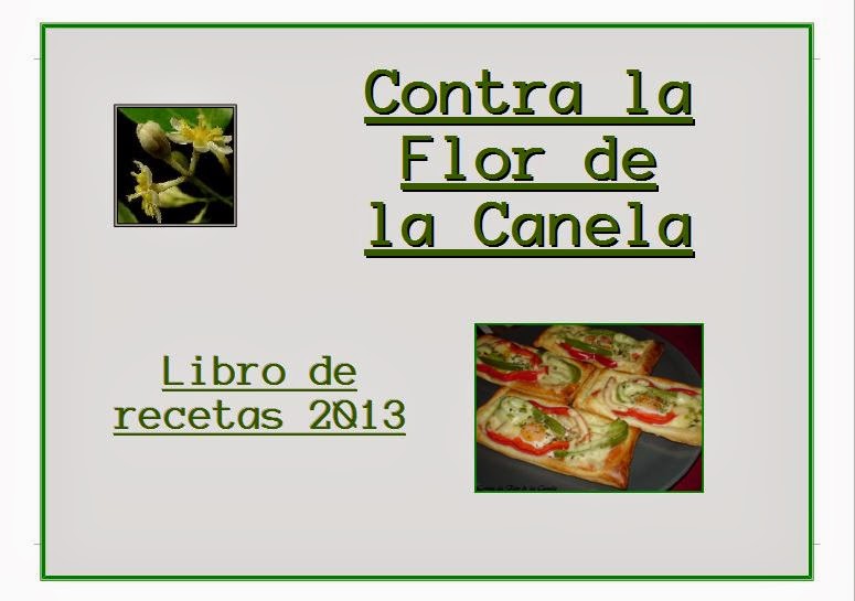 Libro de Recetas 2013