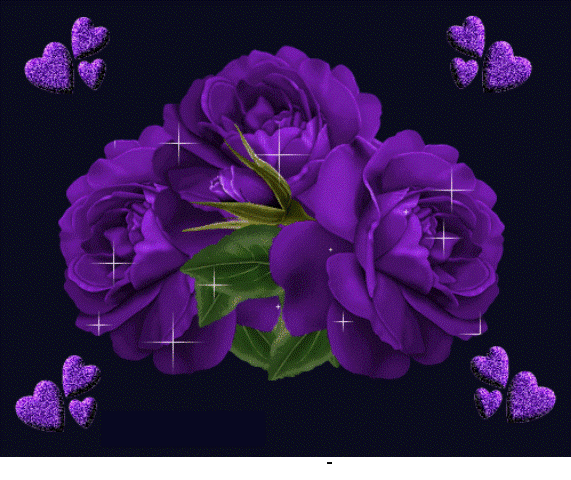 Pictures Of Flowers Moving Pictures Of Flowers Moving
