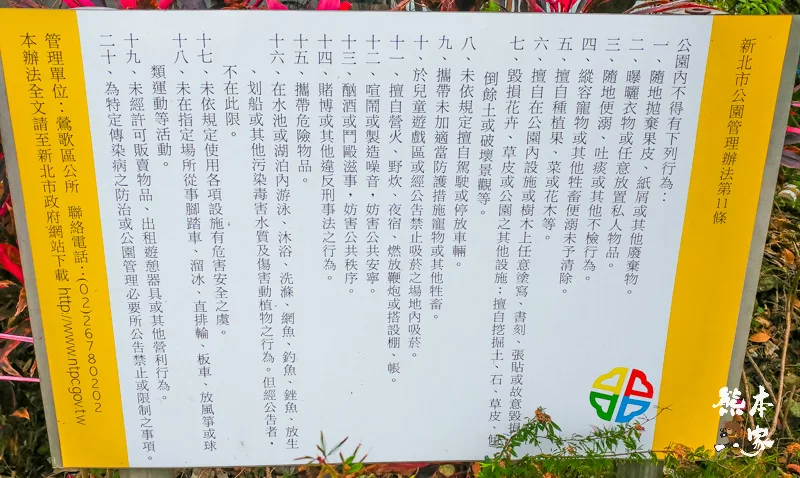 鶯歌永吉公園IG網美景點|炮仗花、櫻花齊登場還有3D立體彩繪步道