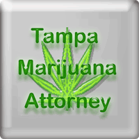 Florida Grow House Attorney | Lawyer Near Tampa Florida Grow House Attorney | Lawyer Near Tampa