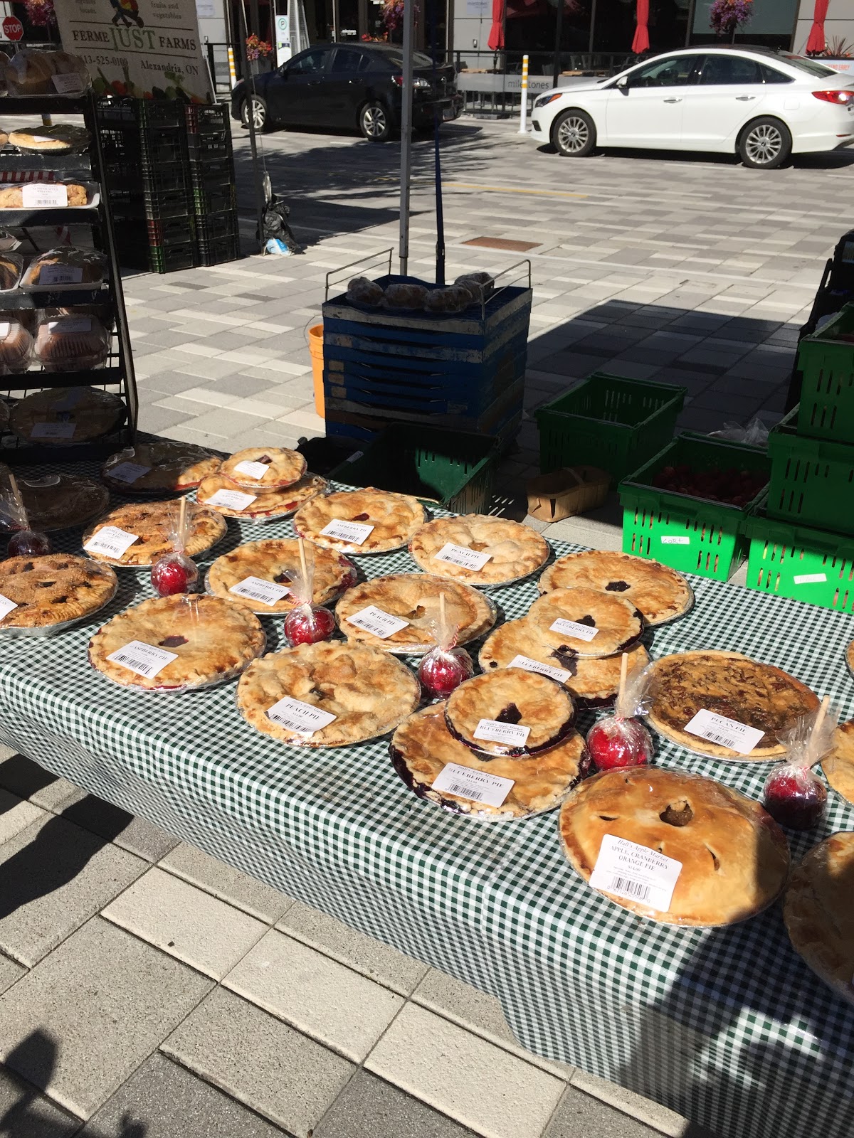 Sweet P Quilting and Creations Highlights from Ottawa...