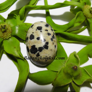 Mustika Khodam Macan Tutul Asli mustika macan tutul asli, manfaat mustika macan tutul, harga batu macan tutul, khasiat mustika macan tutul, khodam macan kumbang hitam,mustika khodam macan tutul asli, khodam macan kumbang hitam, harimau kumbang jawa, cara memanggil khodam macan kumbang, macan kumbang gaib, manfaat khodam macan kumbang, amalan khodam macan kumbang, macan kumbang gunung ciremai, macan kumbang vs singa