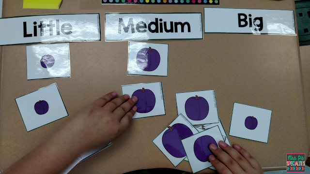 photo of student sorting plum pictures by size