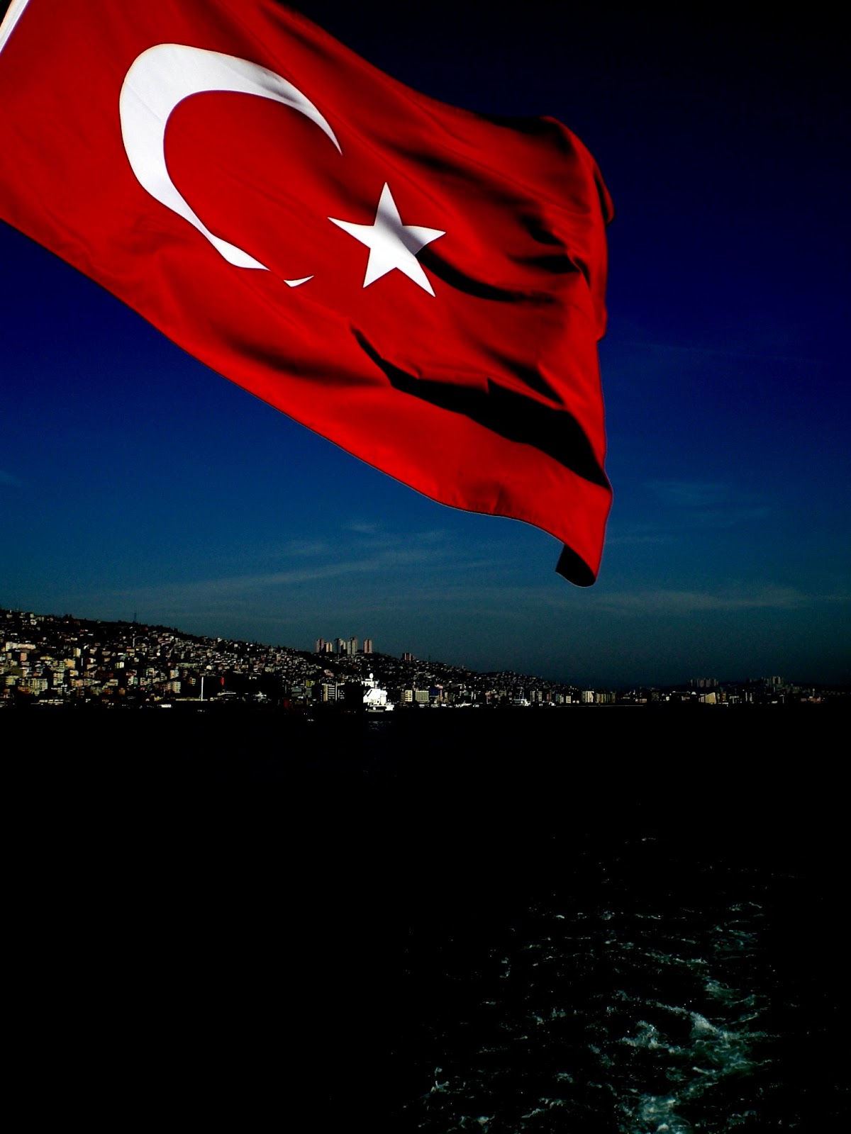 Turk bayraklari rooteto31